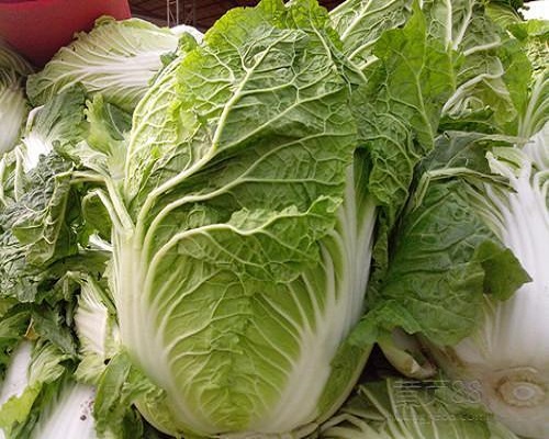 春白菜,水溶肥設(shè)備廠家排名 春白菜,水溶肥設(shè)備廠家排名