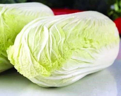秋冬白菜,有機水溶肥批發(fā)