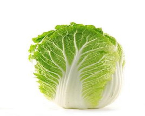 青研桔紅1號,水溶肥設(shè)備廠家排名