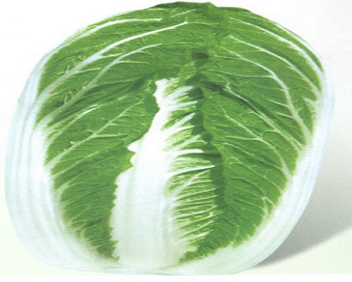 濰白七號(hào),有機(jī)水溶肥