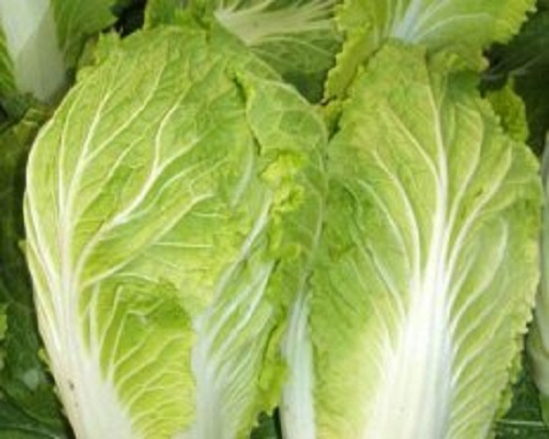 金秋70,水溶肥設(shè)備生產(chǎn)廠家