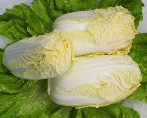 西白12號,品牌沖施肥