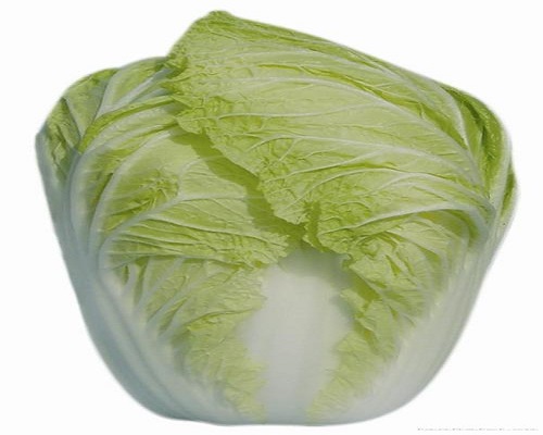 琴萌春王13號,葉面肥批發(fā)