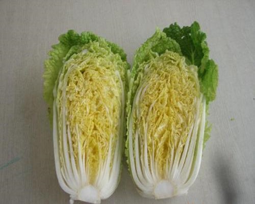 京秋黃心70,?；ū９~面肥