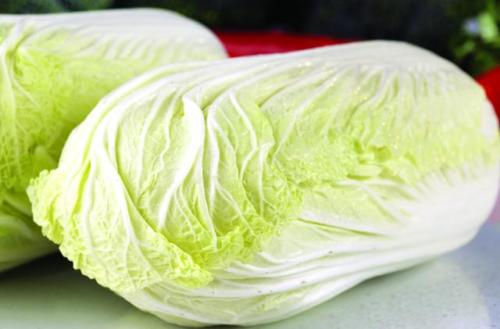 春白菜,有機(jī)水溶肥