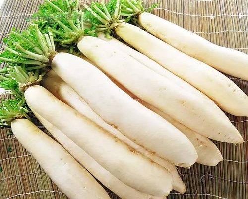 白皮蘿卜,有機(jī)水溶肥