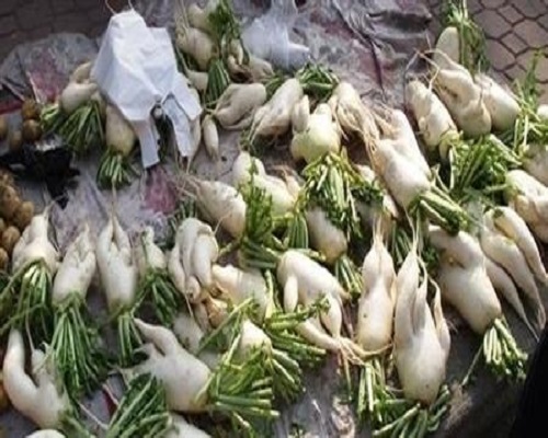 蘿卜畸形根,沖施肥廠家