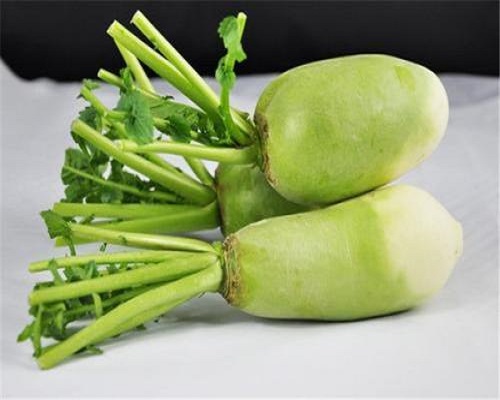 蜀蘿8號,水溶肥生產廠家
