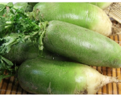夏青55號(hào),水溶沖施肥