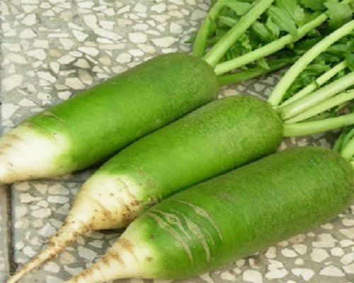 夏青55號(hào),進(jìn)口葉面肥