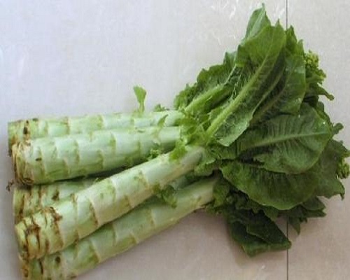 科興6號(hào)萵筍,高鉀水溶肥生產(chǎn)廠(chǎng)家