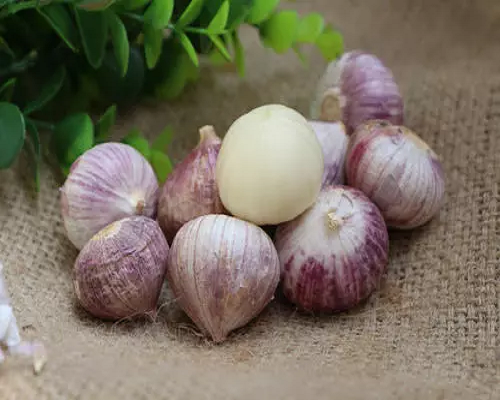 大蒜獨(dú)頭蒜,國(guó)內(nèi)最好的葉面肥品牌