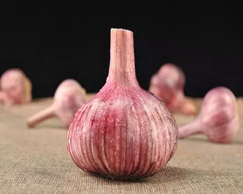 散瓣蒜,進(jìn)口沖施肥 散瓣蒜,進(jìn)口沖施肥