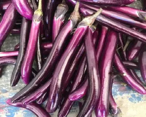 福茄3號(hào),蔬菜瓜果沖施肥